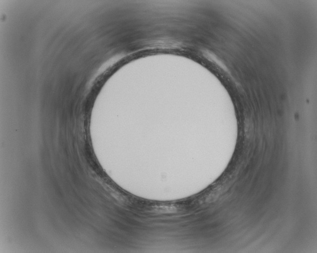 X0000064731315200603131243