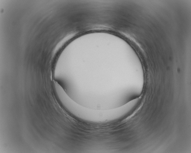 X0000064731317200603131243