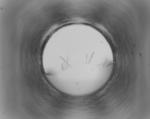 X0000064731318200603131243