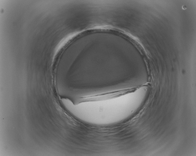 X0000064731319200603131243