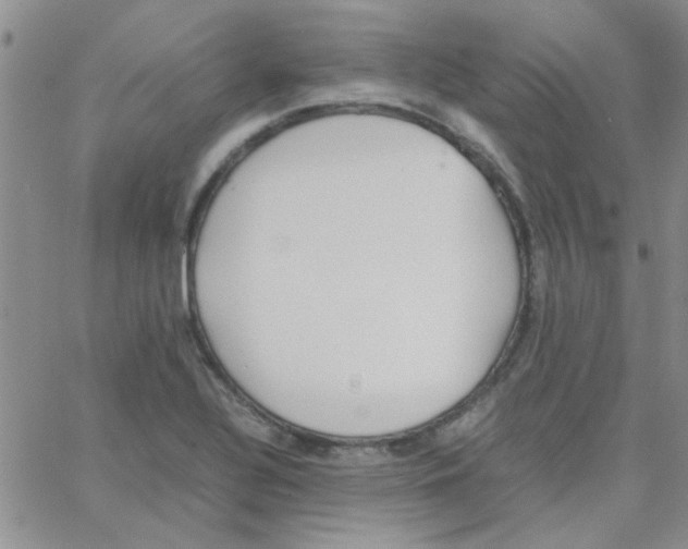 X0000064731320200603131243