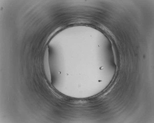 X0000064731321200603131243