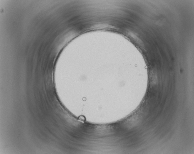 X0000064731322200603131243