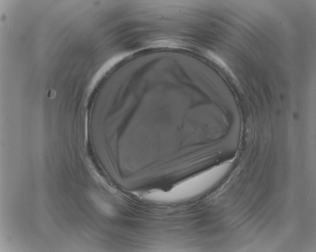 X0000064731323200603131243