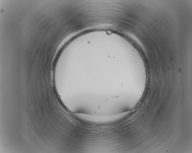 X0000064731324200603131243