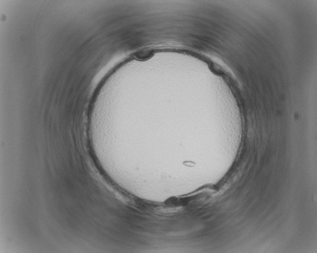 X0000064731325200603131243