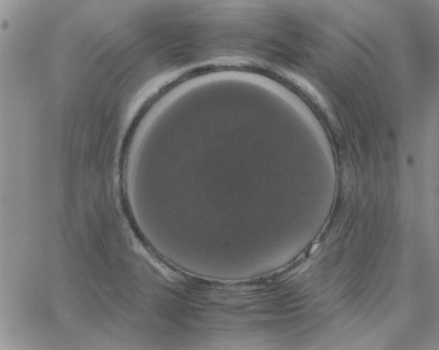 X0000064731327200603131243