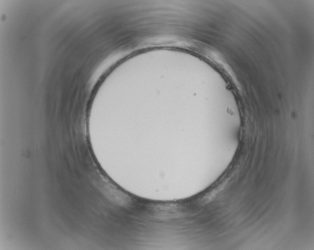 X0000064731328200603131243