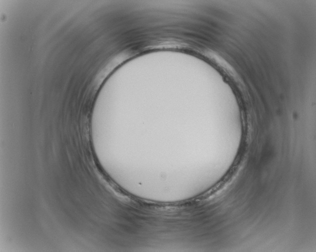 X0000064731329200603131243