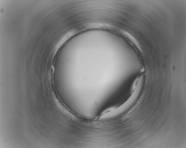 X0000064731330200603131243