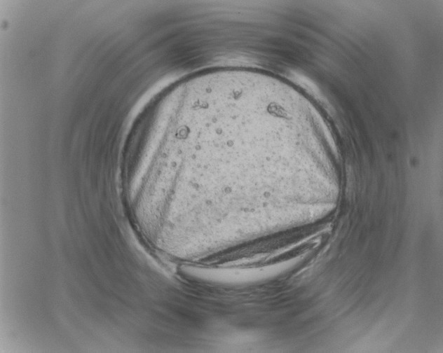 X0000064731331200603131243