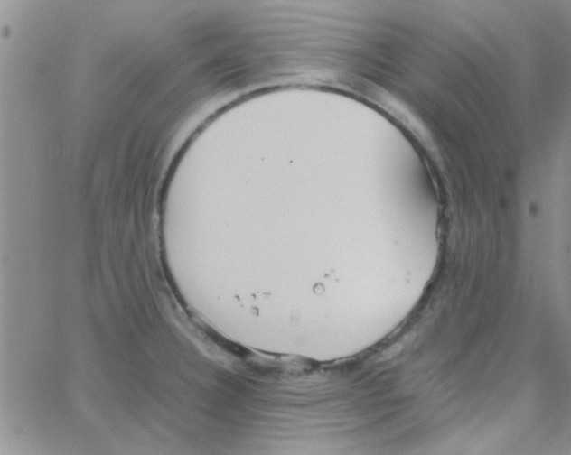 X0000064731332200603131243