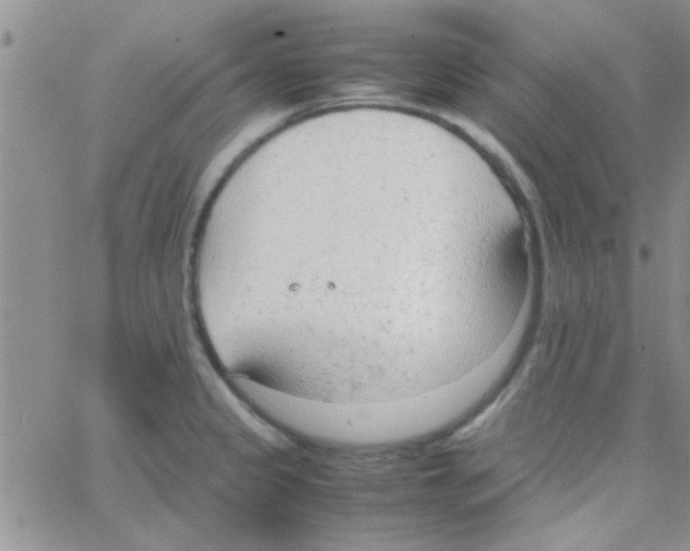 X0000064731333200603131243