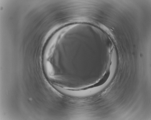 X0000064731334200603131243