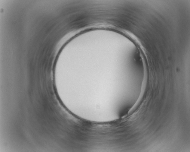 X0000064731335200603131243