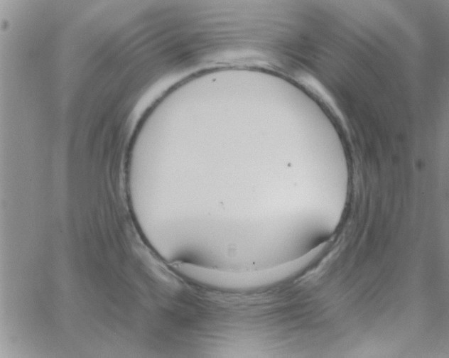 X0000064731336200603131243