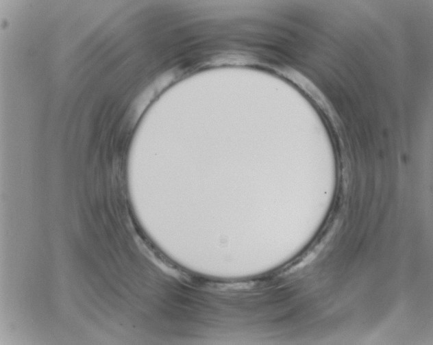 X0000064731337200603131243