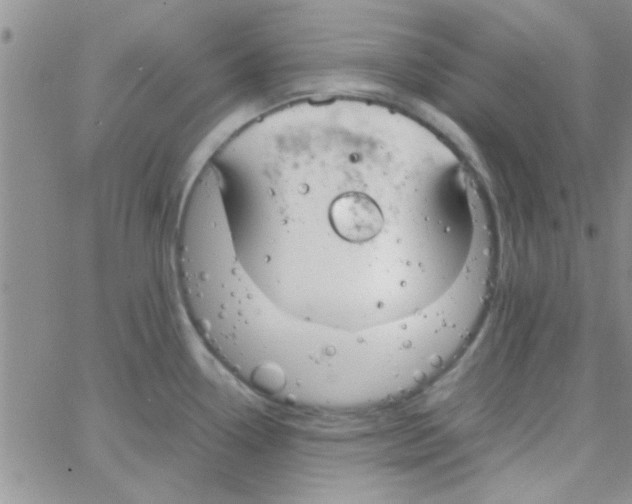 X0000064731338200603131243