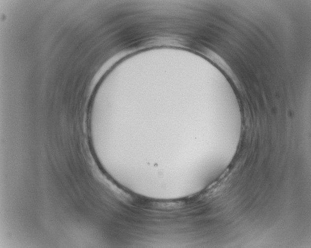 X0000064731339200603131243