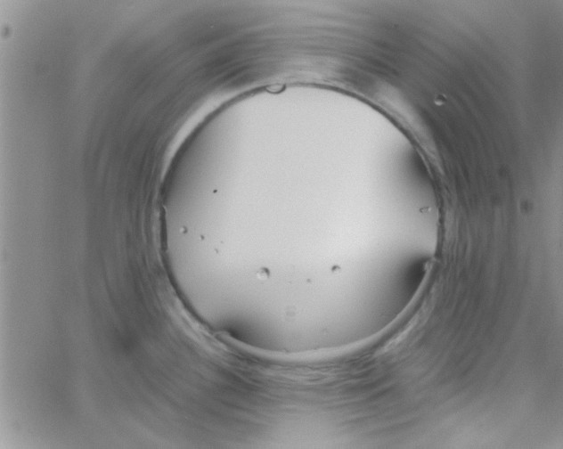 X0000064731340200603131243