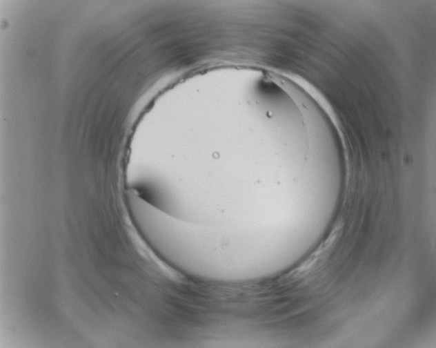 X0000064731341200603131243