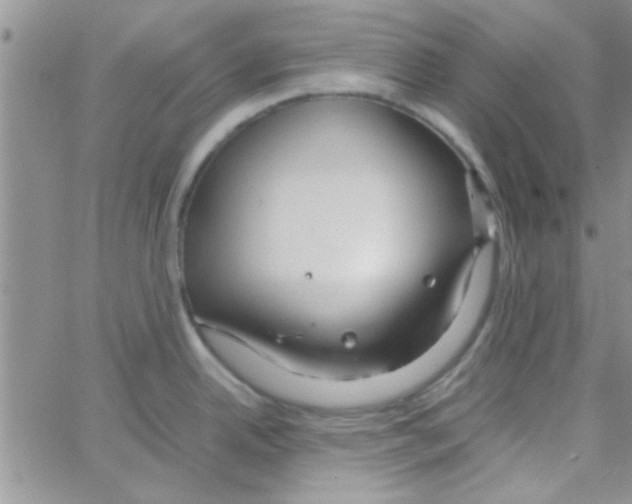 X0000064731342200603131243