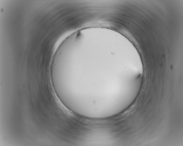 X0000064731344200603131244