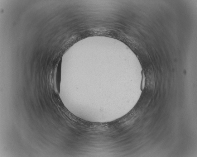 X0000064731346200603131243