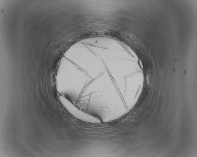 X0000064731347200603131243