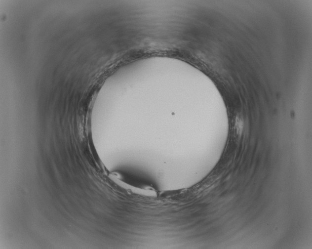 X0000064731348200603131243