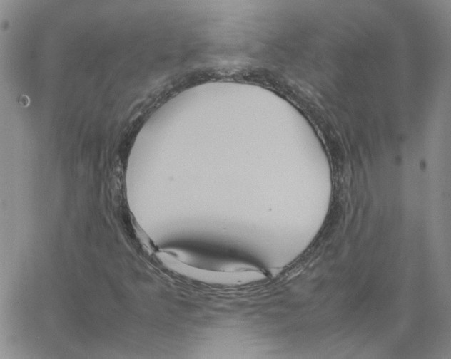 X0000064731349200603131243