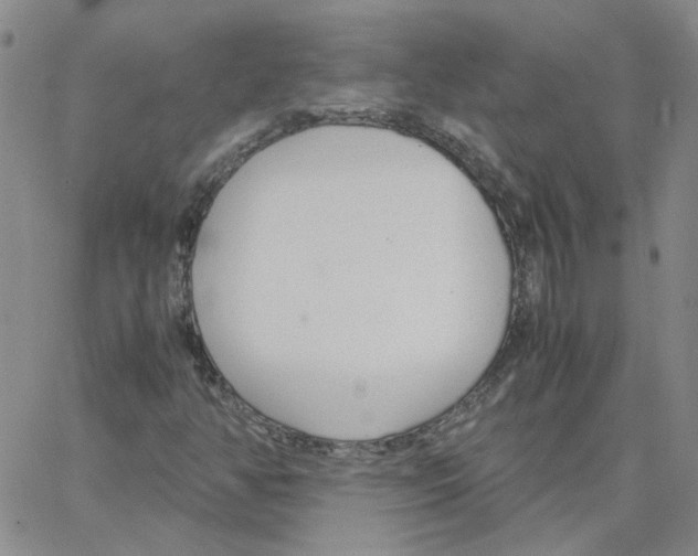 X0000064731350200603131243