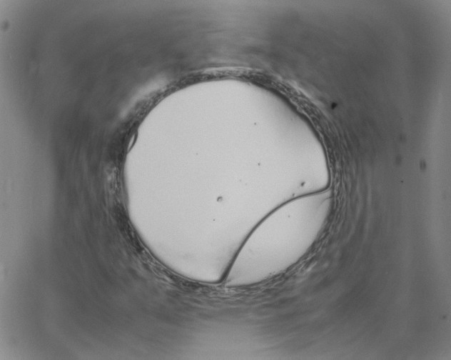 X0000064731351200603131243