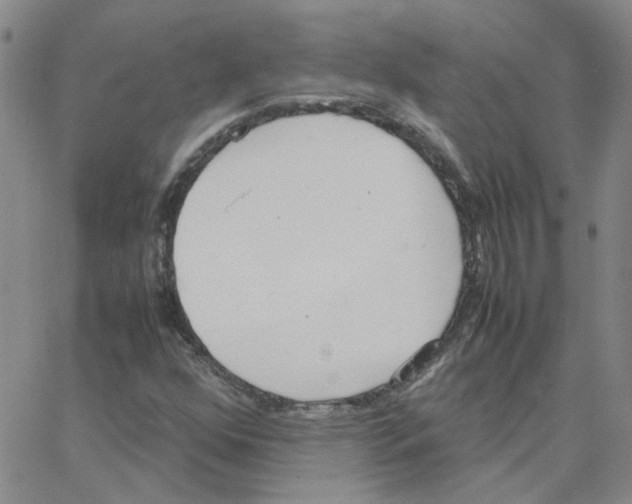 X0000064731352200603131243