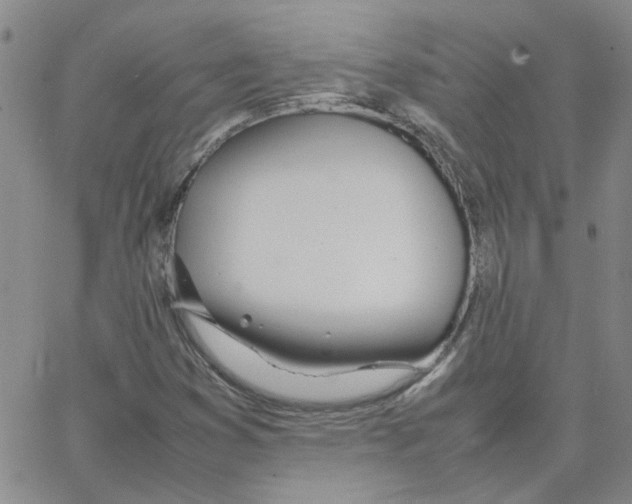 X0000064731353200603131243