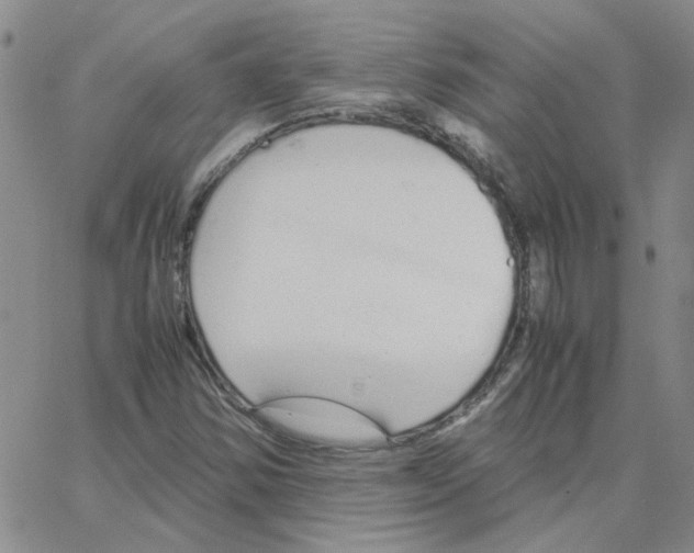 X0000064731354200603131243