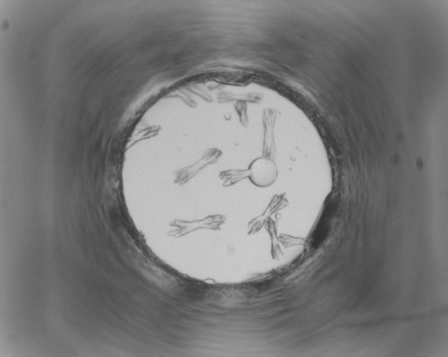 X0000064731355200603131243