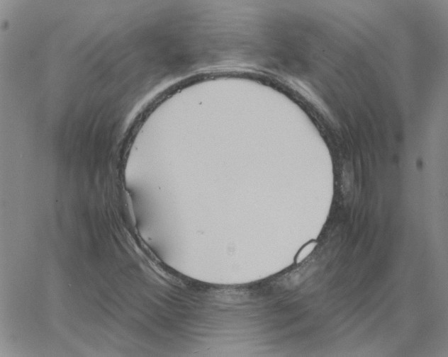 X0000064731356200603131243