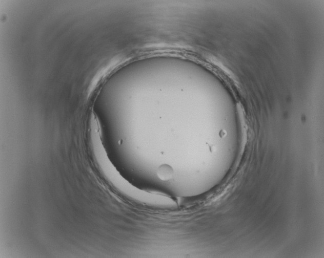 X0000064731357200603131243