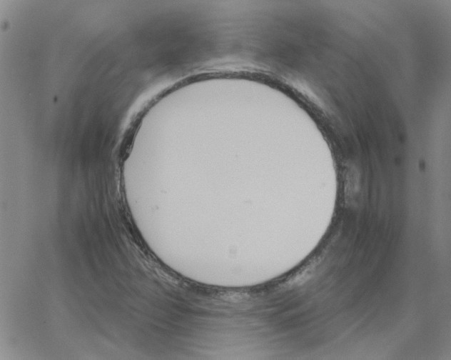 X0000064731358200603131243