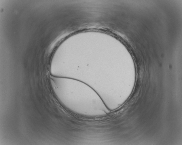 X0000064731359200603131243