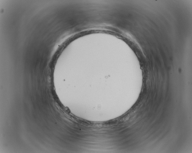 X0000064731360200603131243