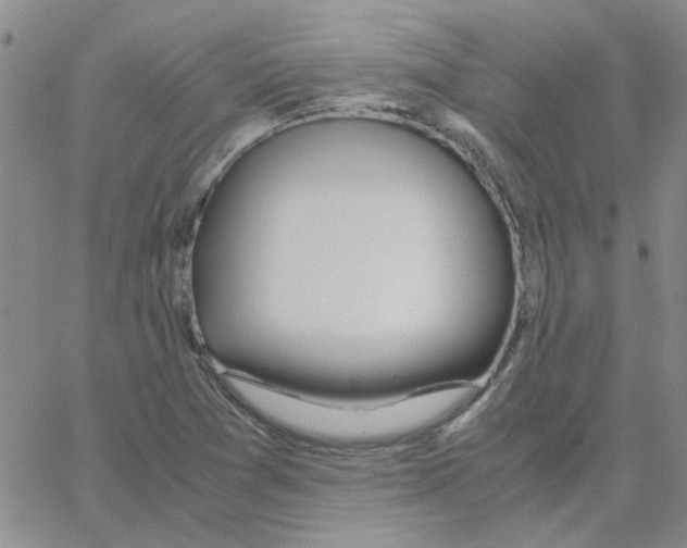 X0000064731361200603131242