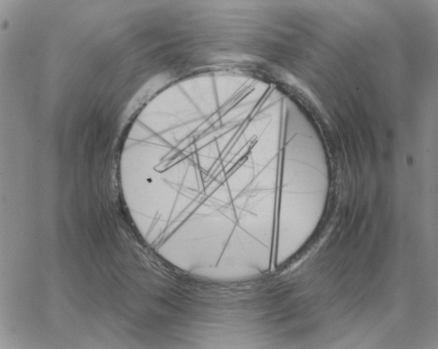 X0000064731362200603131242