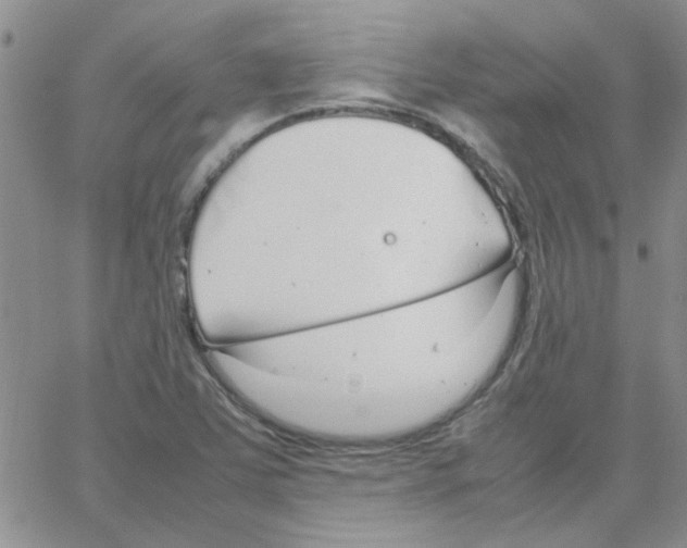 X0000064731363200603131242