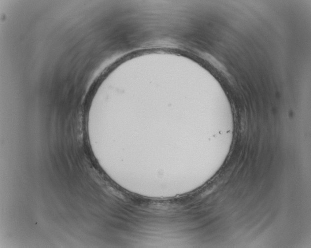 X0000064731364200603131242