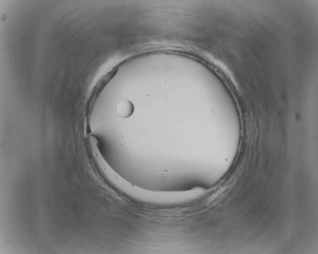 X0000064731365200603131242