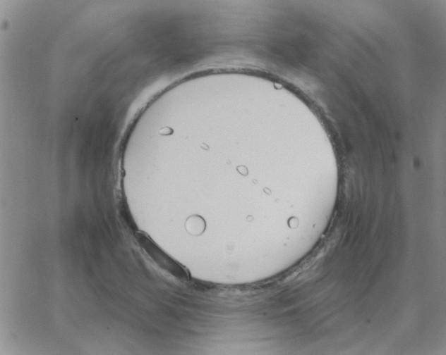 X0000064731366200603131242