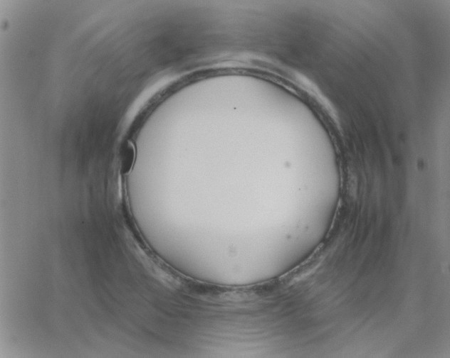 X0000064731368200603131242