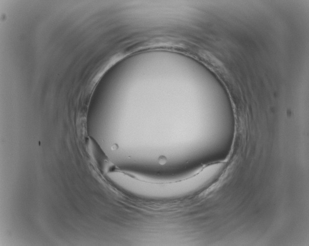 X0000064731369200603131242